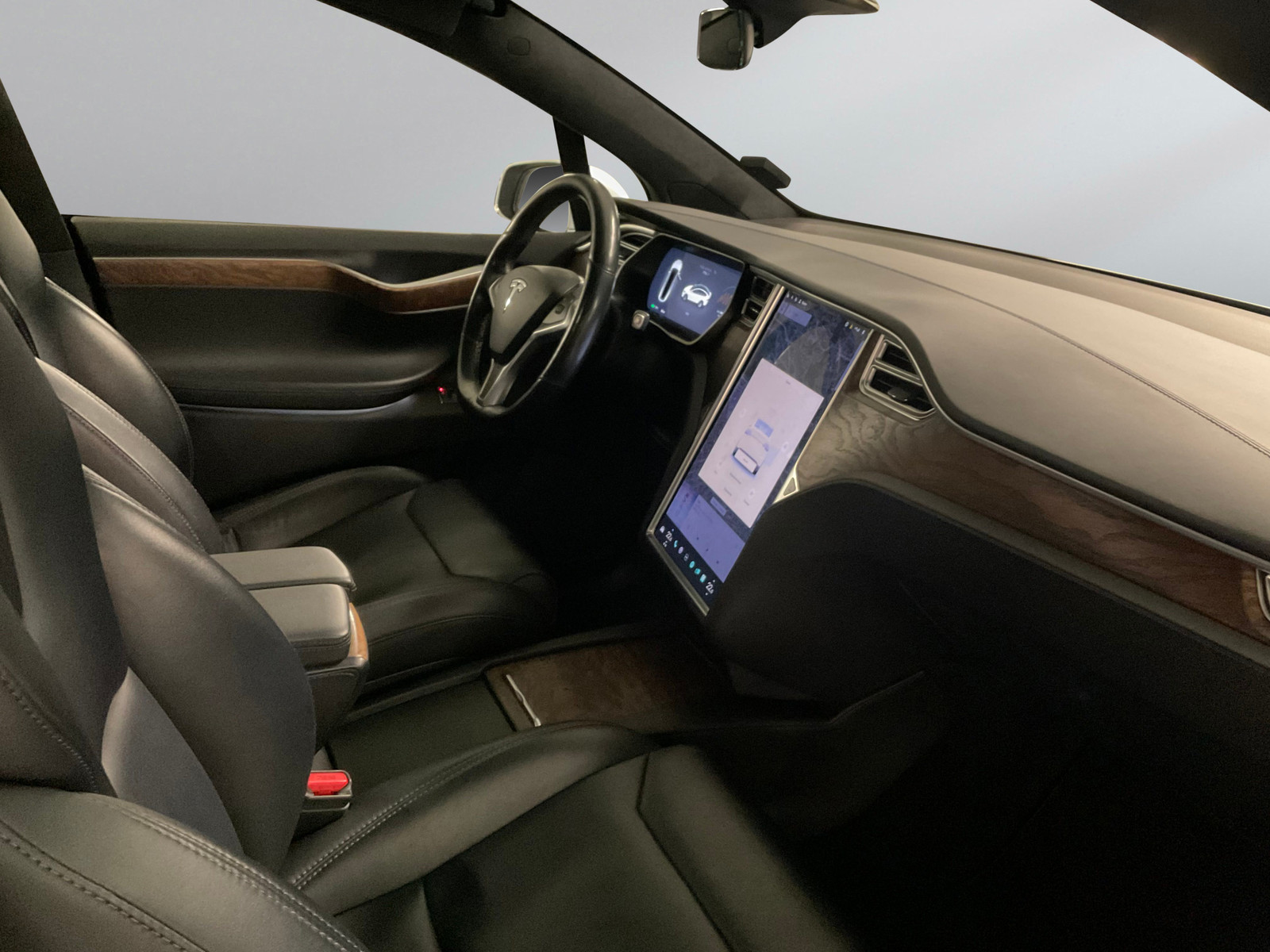 Tesla Model X   image17