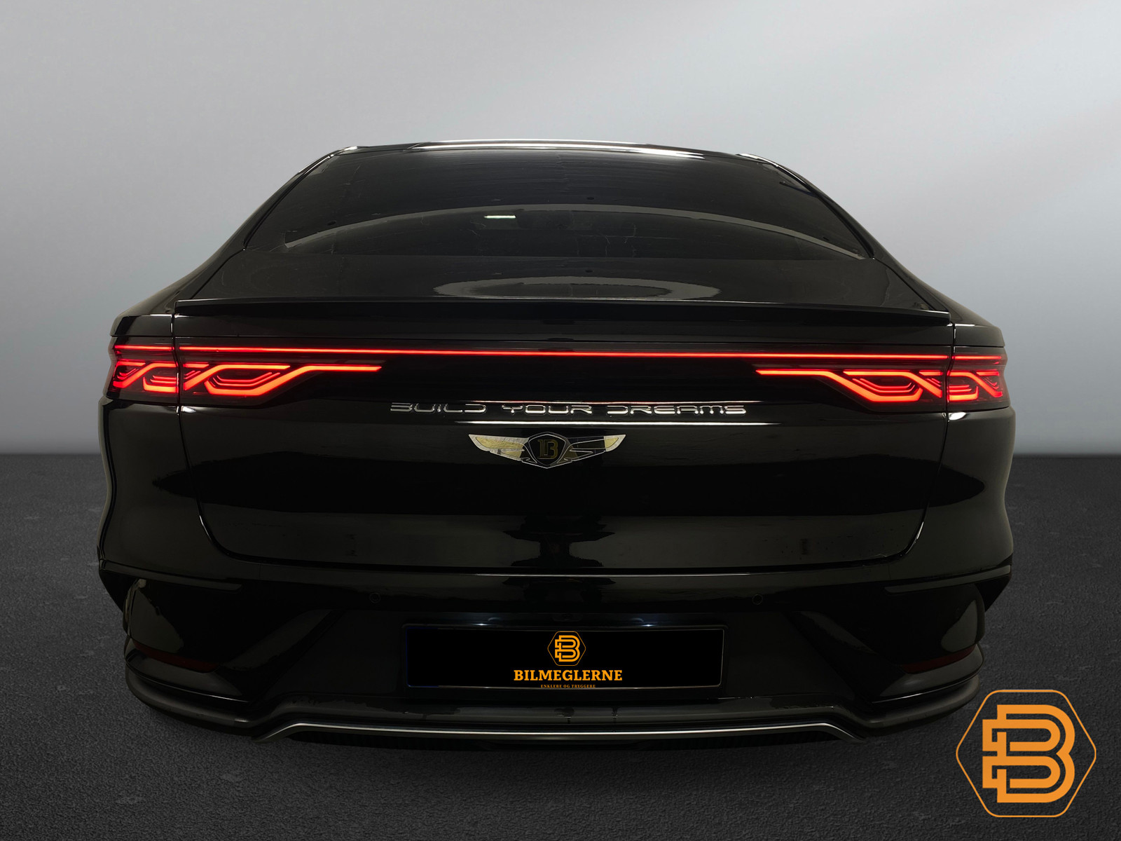 BYD Han   image13